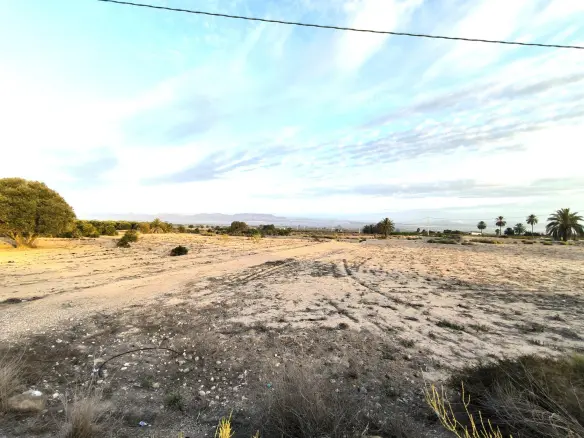 Land In La Marina, Spain (25.229 M² Plot)
