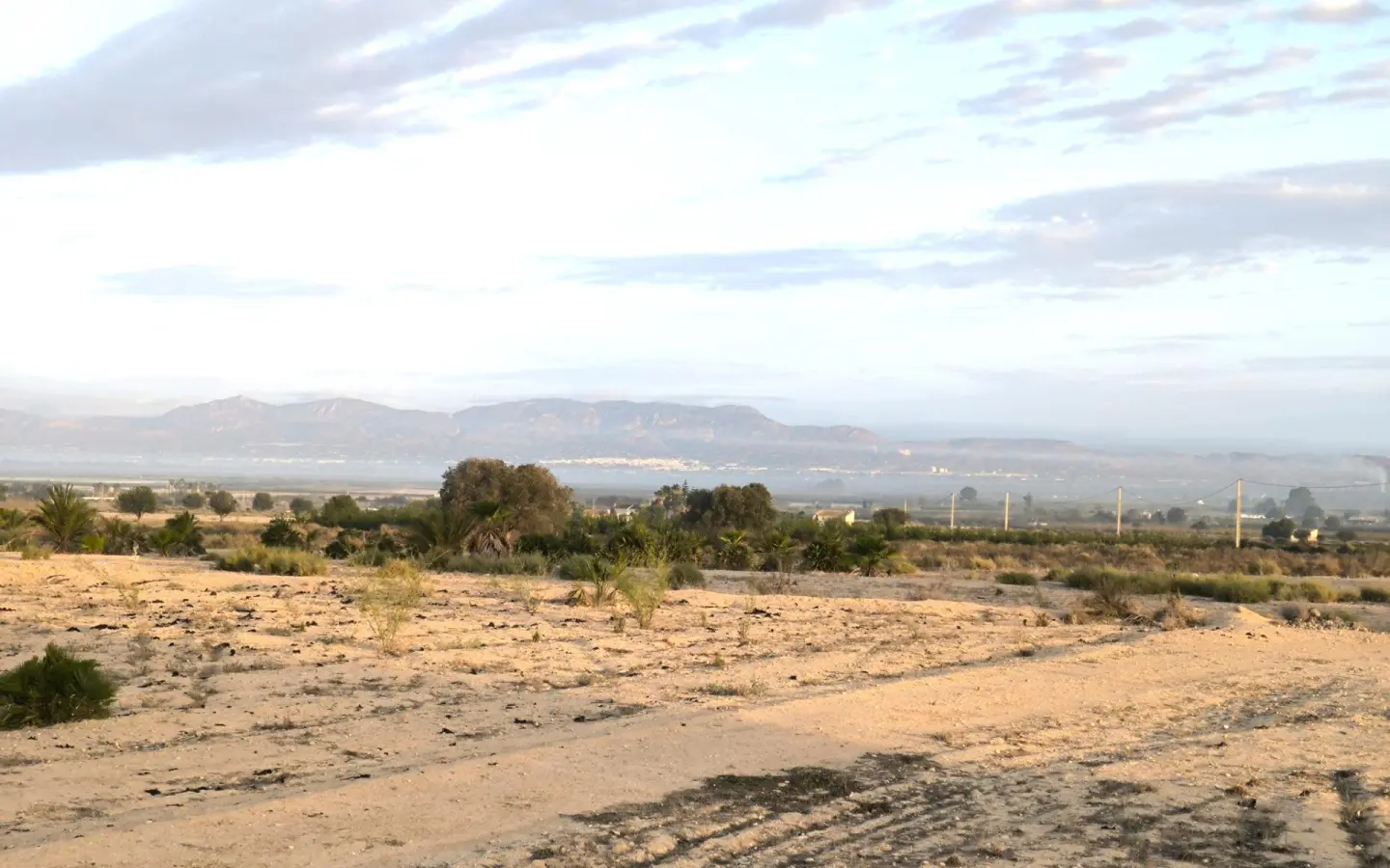 Land In La Marina, Spain (25.229 M² Plot)
