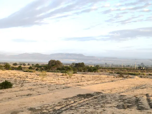 Land In La Marina, Spain (25.229 M² Plot)