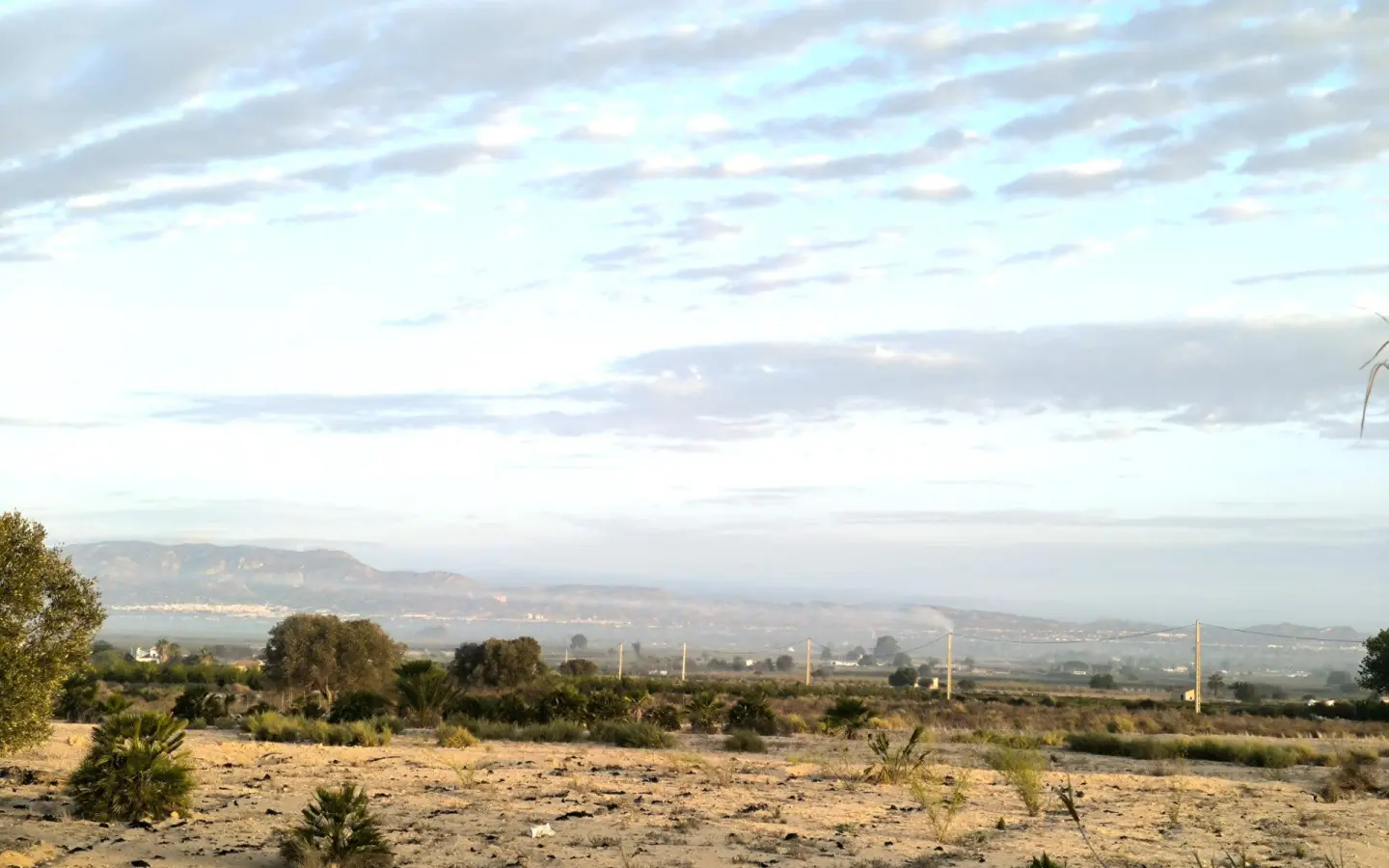 Land In La Marina, Spain (25.229 M² Plot)