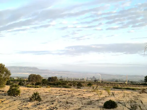Land In La Marina, Spain (25.229 M² Plot)