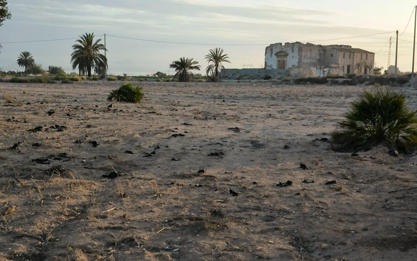 Land In La Marina, Spain (25.229 M² Plot)