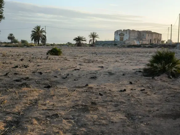 Land In La Marina, Spain (25.229 M² Plot)