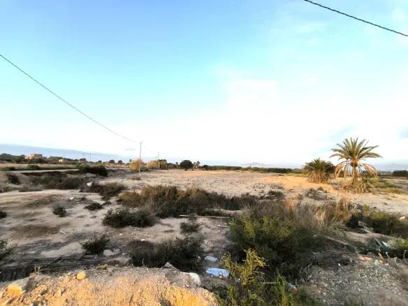 Land In La Marina, Spain (25.229 M² Plot)