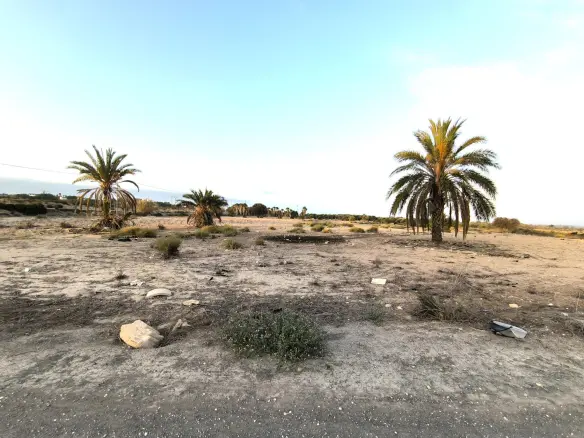 Land In La Marina, Spain (25.229 M² Plot)