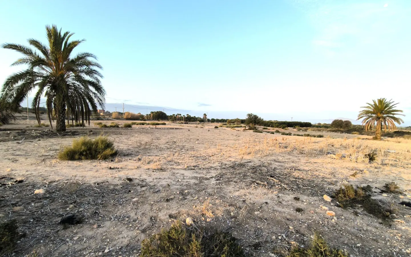 Land In La Marina, Spain (25.229 M² Plot)