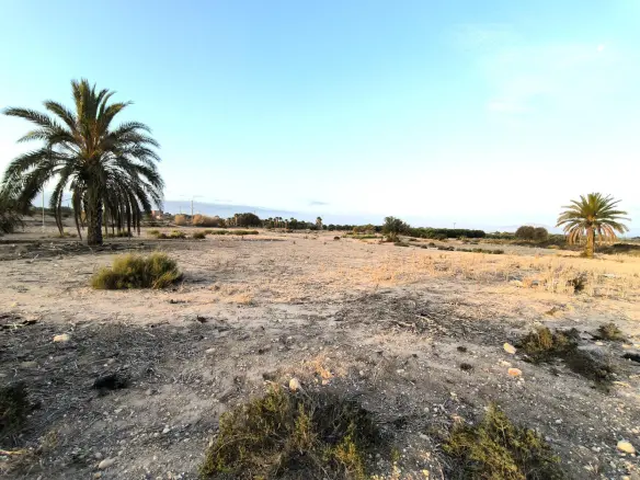 Land In La Marina, Spain (25.229 M² Plot)