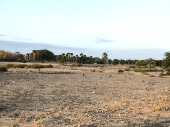Land In La Marina, Spain (25.229 M² Plot)