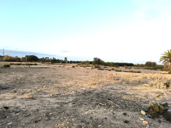 Land In La Marina, Spain (25.229 M² Plot)