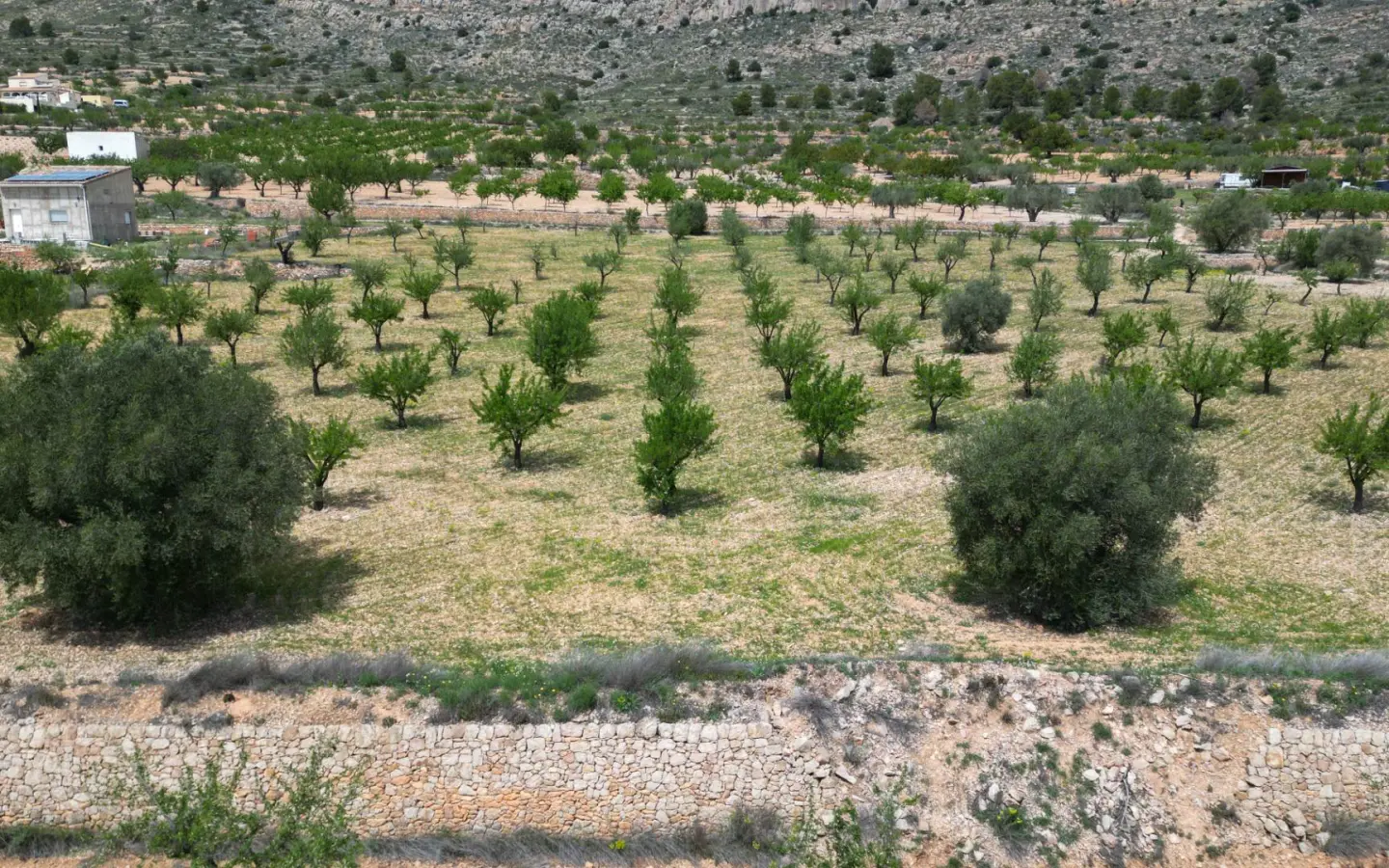 Land In La Romana, Spain (10.190 M² Plot)