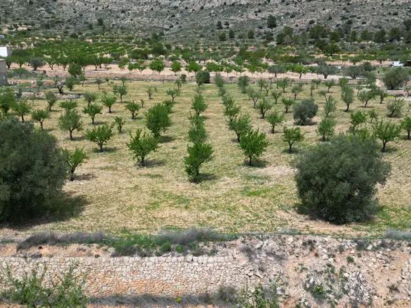 Land In La Romana, Spain (10.190 M² Plot)