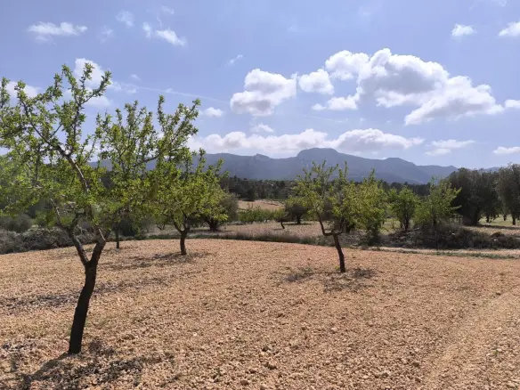 Land In La Romana, Spain (10.190 M² Plot)