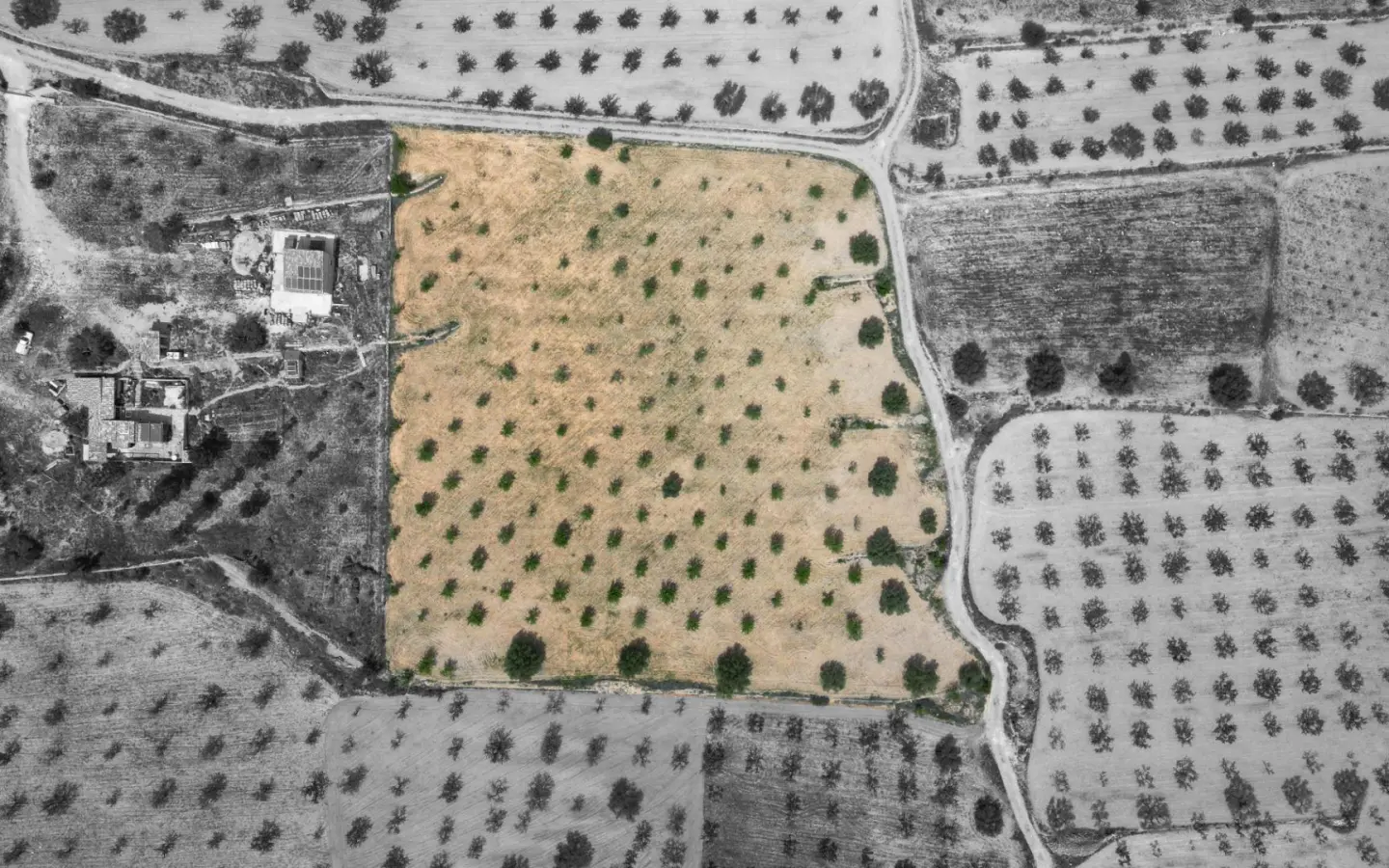 Land In La Romana, Spain (10.190 M² Plot)