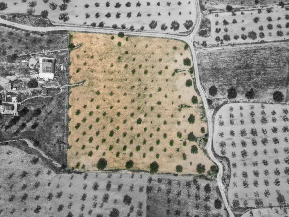 Land In La Romana, Spain (10.190 M² Plot)