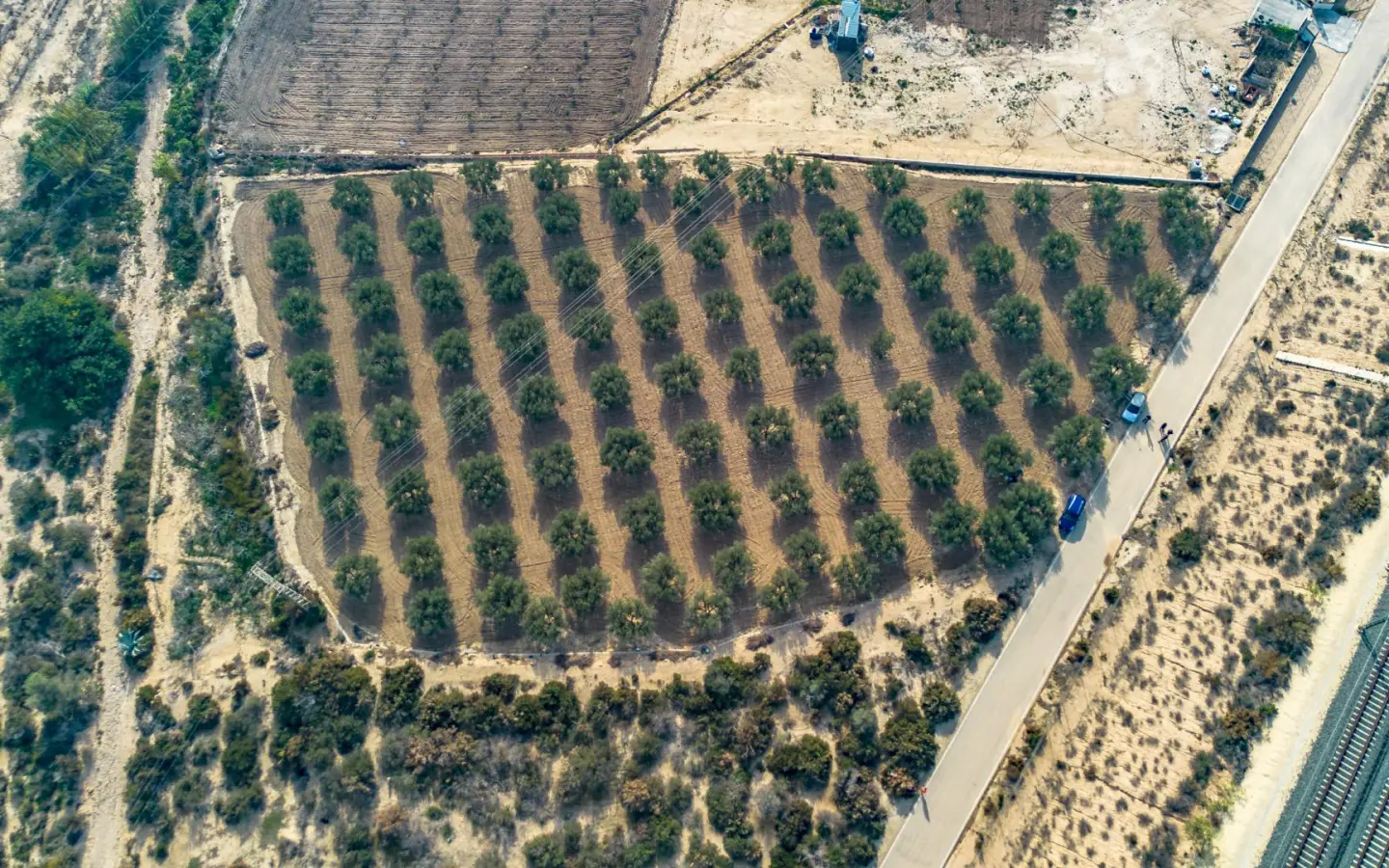 Land In Crevillent, Spain (6.000 M² Plot)