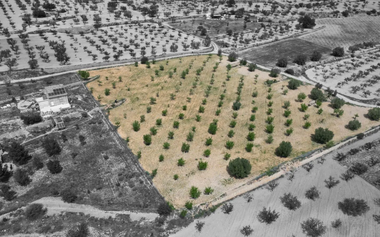Land In La Romana, Spain (10.190 M² Plot)