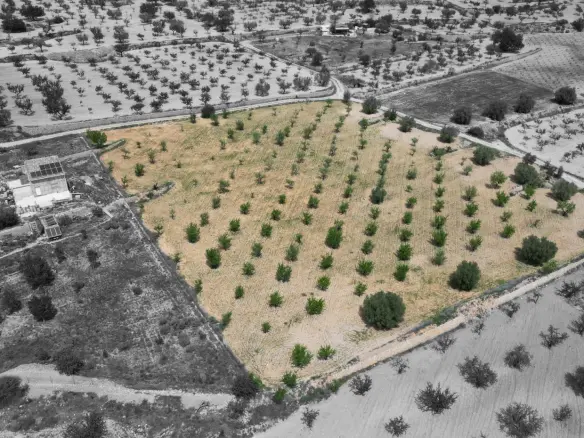 Land In La Romana, Spain (10.190 M² Plot)