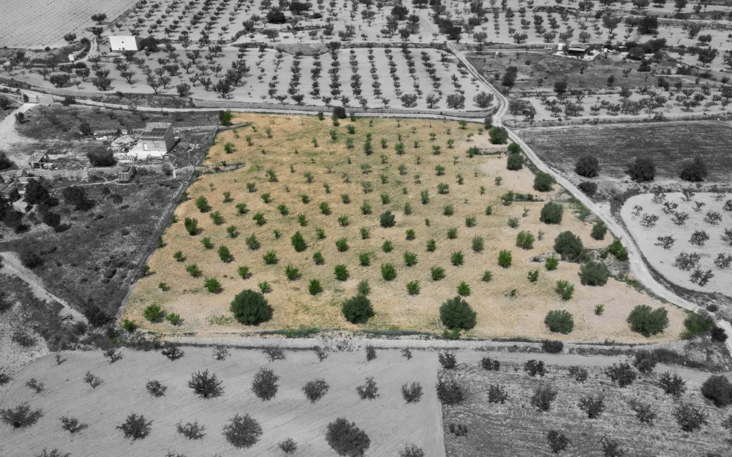 Land In La Romana, Spain (10.190 M² Plot)