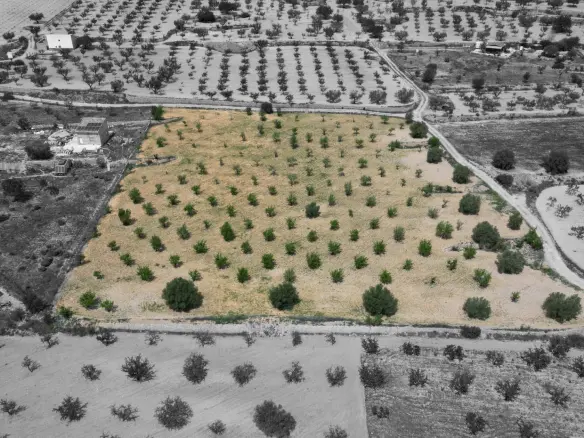 Land In La Romana, Spain (10.190 M² Plot)