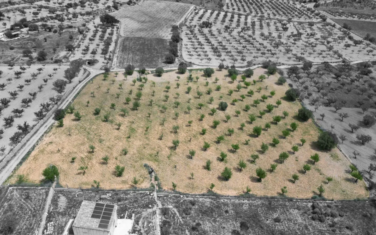 Land In La Romana, Spain (10.190 M² Plot)