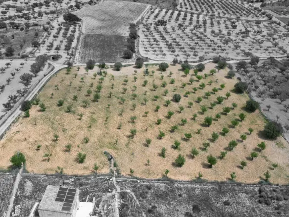Land In La Romana, Spain (10.190 M² Plot)