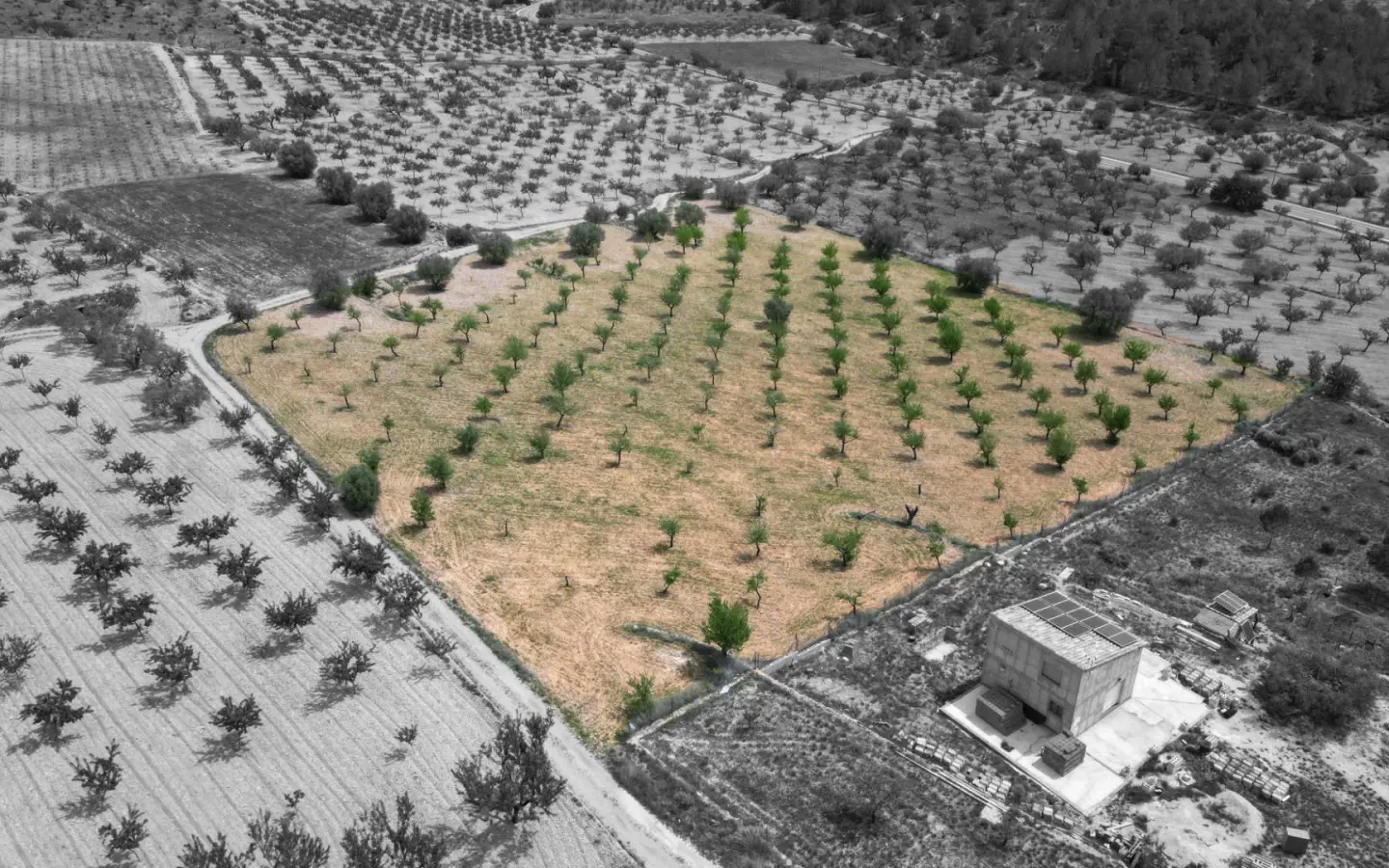 Land In La Romana, Spain (10.190 M² Plot)