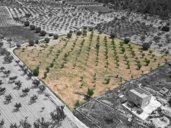 Land In La Romana, Spain (10.190 M² Plot)