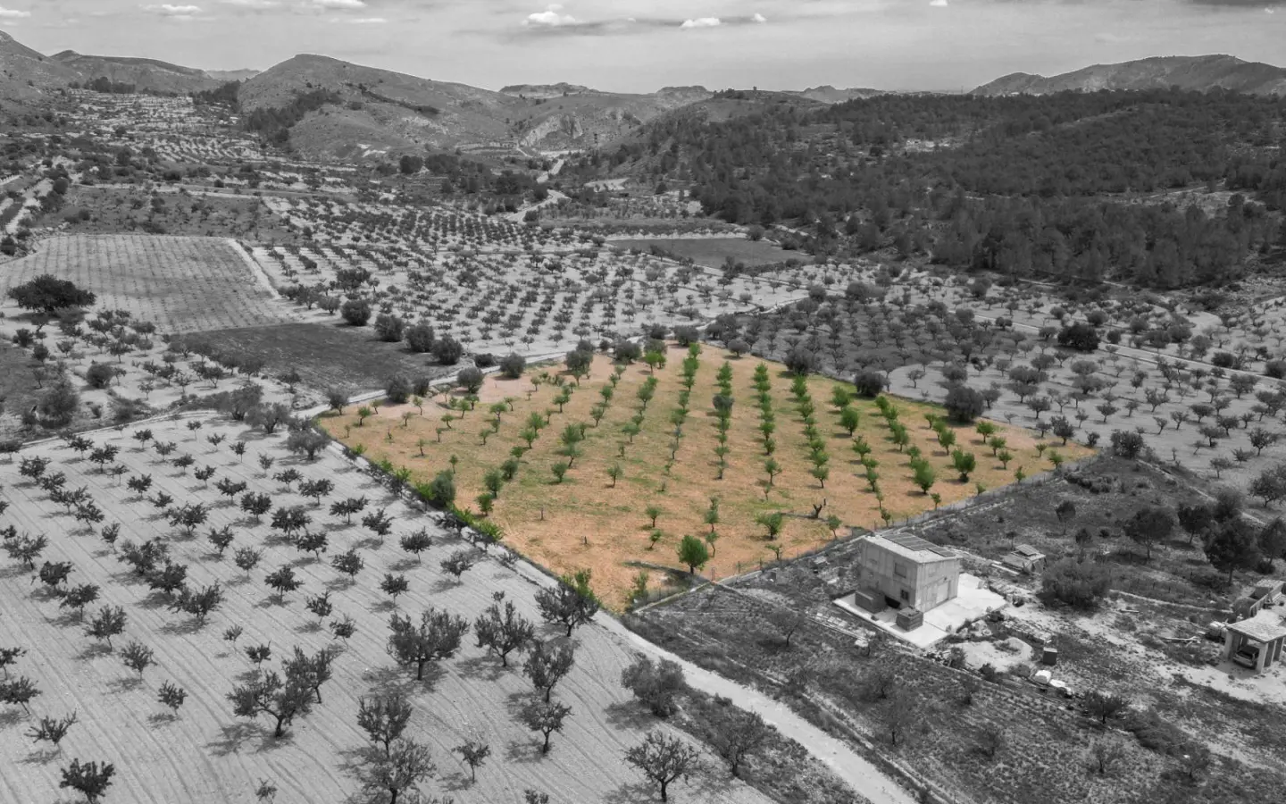 Land In La Romana, Spain (10.190 M² Plot)