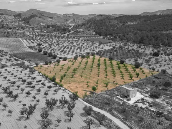 Land In La Romana, Spain (10.190 M² Plot)