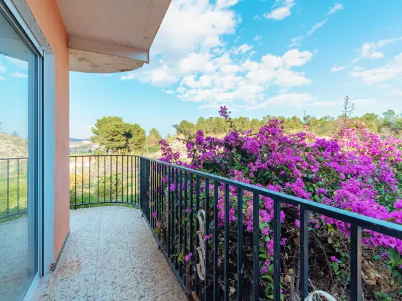 5-bedroom Villa In Elche, Spain (230 M²)