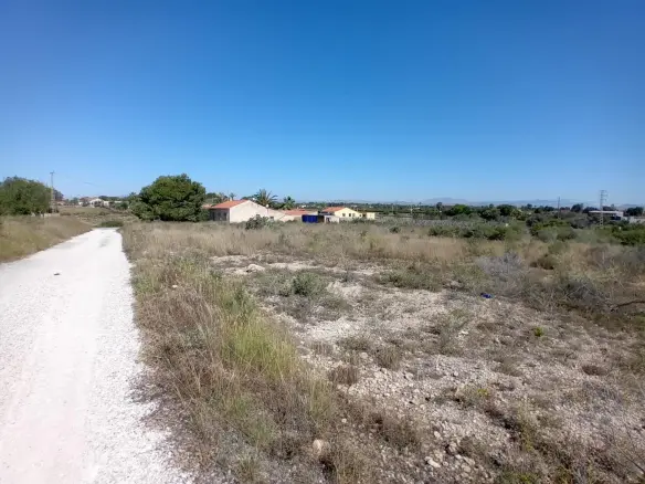 Land In Elche Pedanias, Spain (2.400 M² Plot)