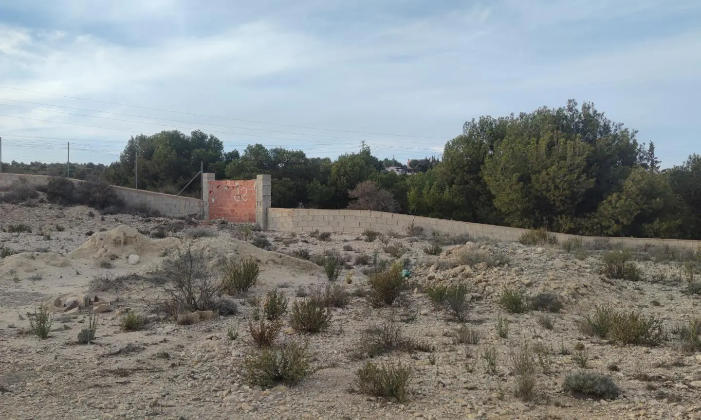 Land In Elche, Spain (19.728 M² Plot)