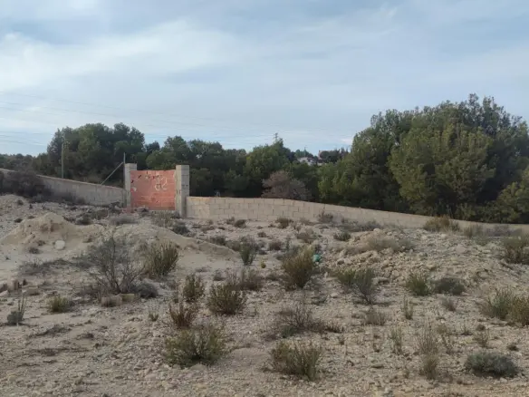 Land In Elche, Spain (19.728 M² Plot)