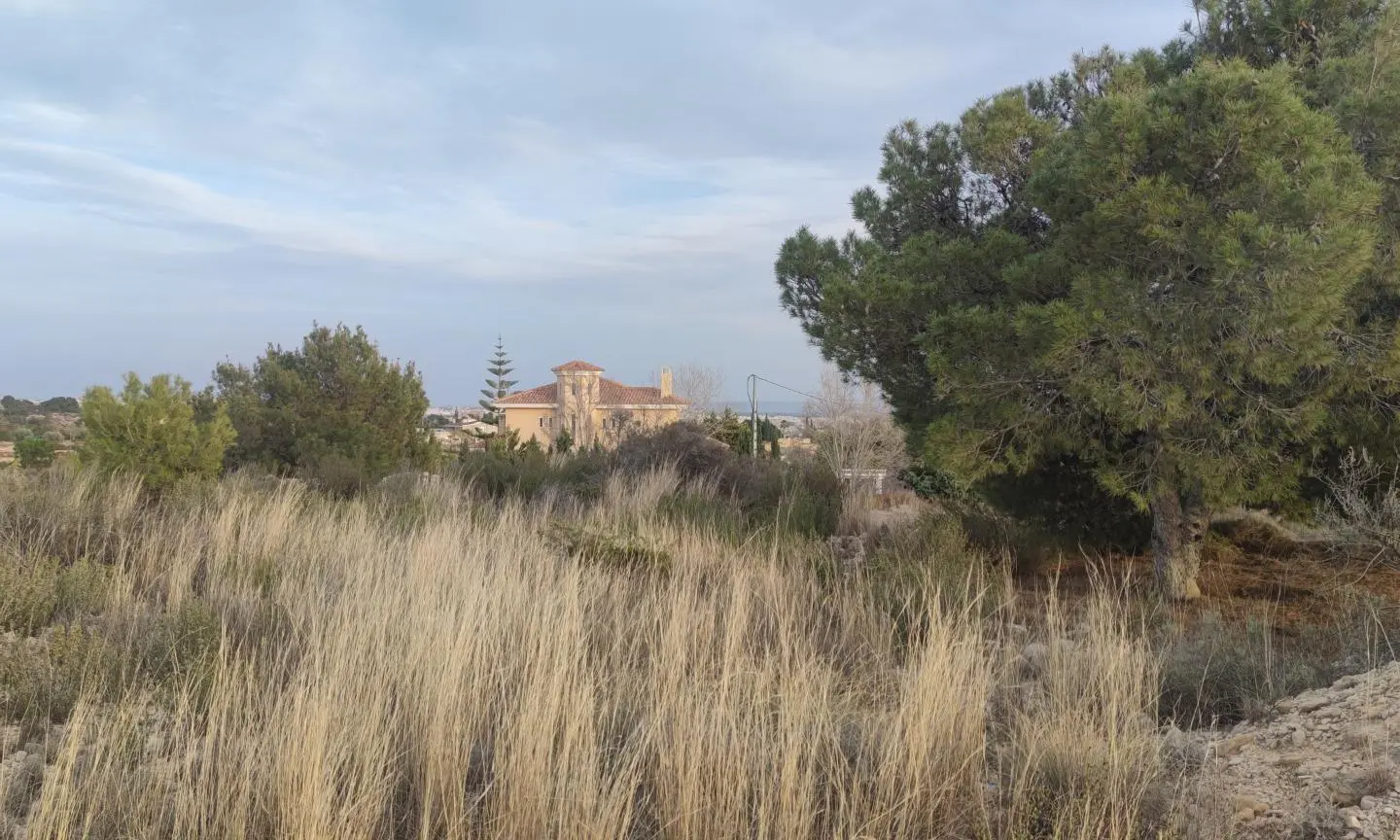 Land In Elche, Spain (19.728 M² Plot)