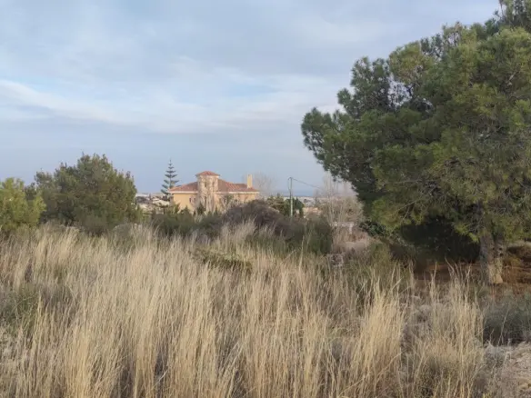 Land In Elche, Spain (19.728 M² Plot)