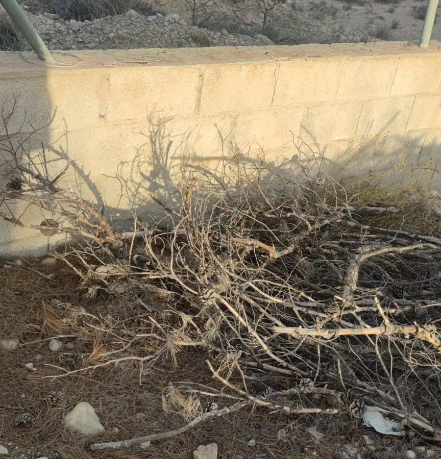 Land In Elche, Spain (19.728 M² Plot)