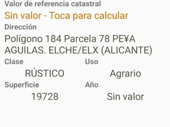 Land In Elche, Spain (19.728 M² Plot)