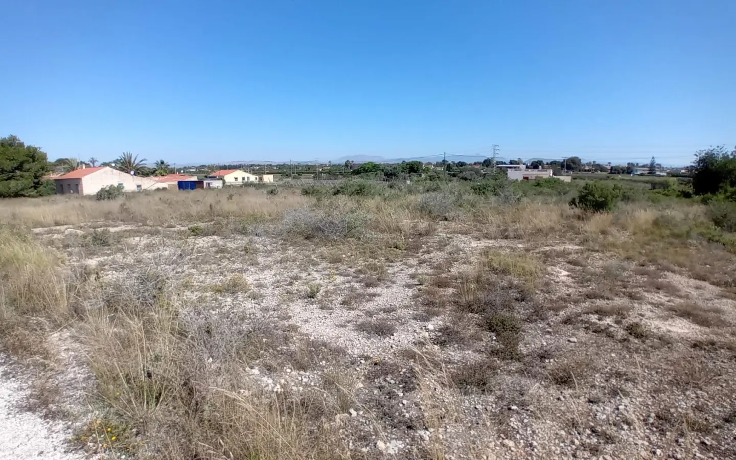 Land In Elche Pedanias, Spain (2.400 M² Plot)