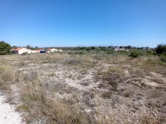 Land In Elche Pedanias, Spain (2.400 M² Plot)