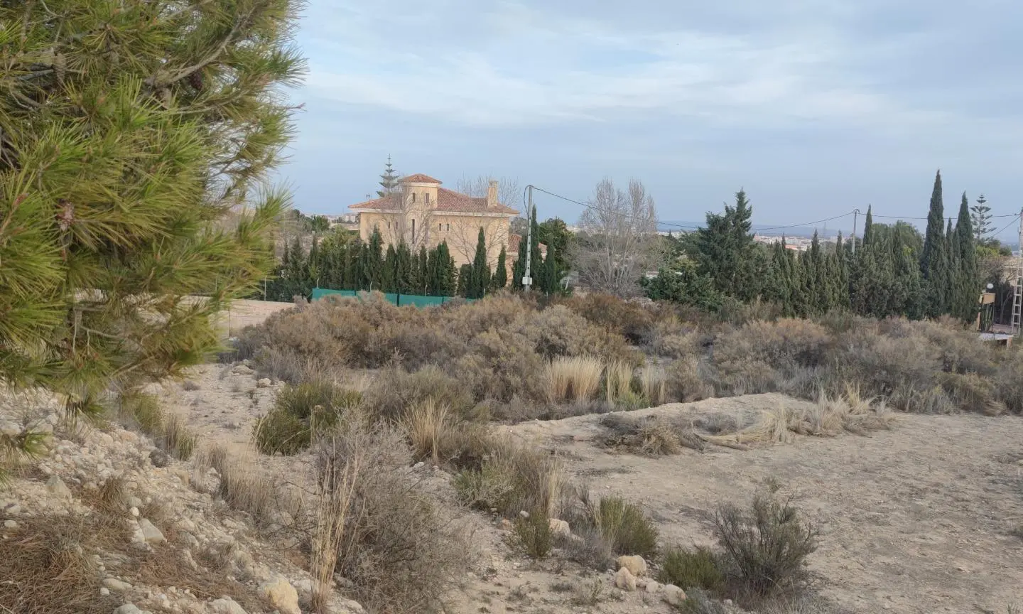 Land In Elche, Spain (19.728 M² Plot)