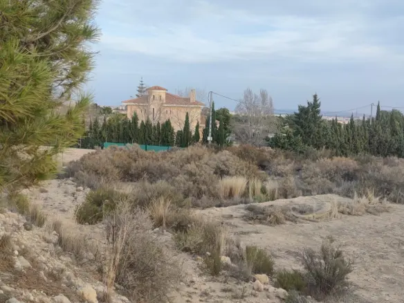 Land In Elche, Spain (19.728 M² Plot)