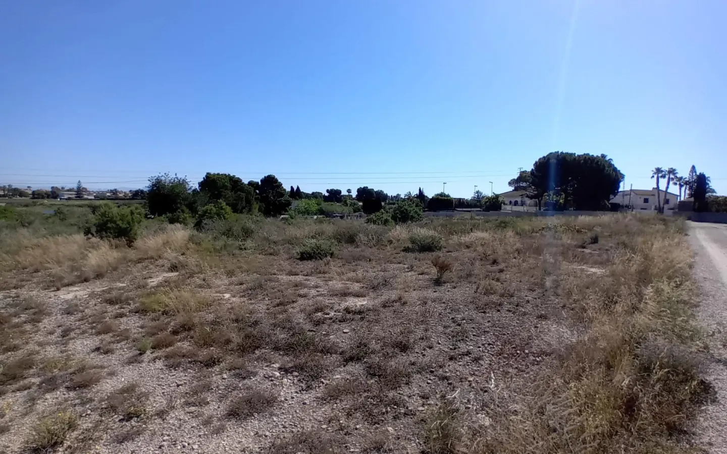 Land In Elche Pedanias, Spain (2.400 M² Plot)