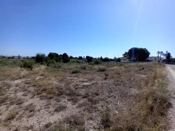 Land In Elche Pedanias, Spain (2.400 M² Plot)