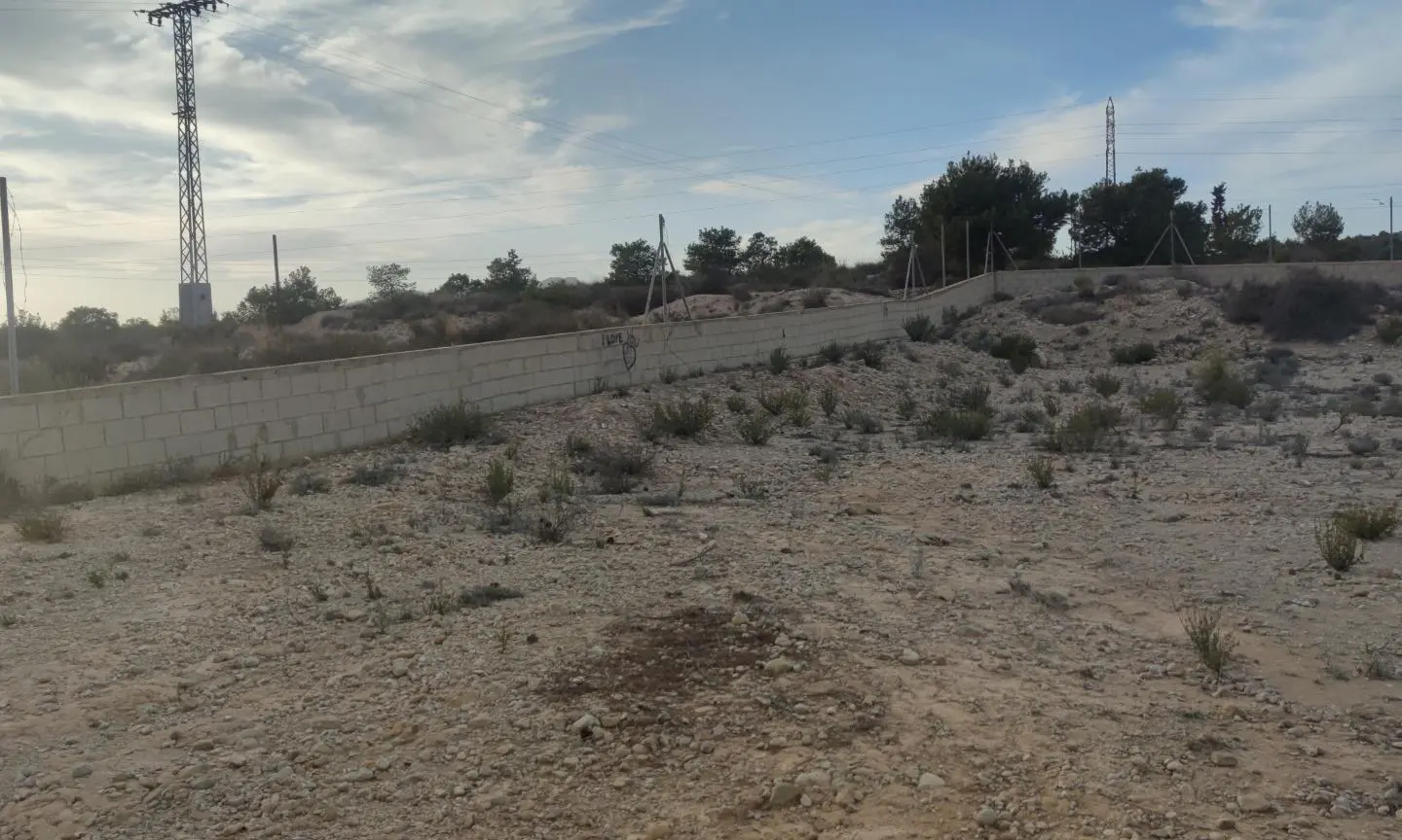 Land In Elche, Spain (19.728 M² Plot)