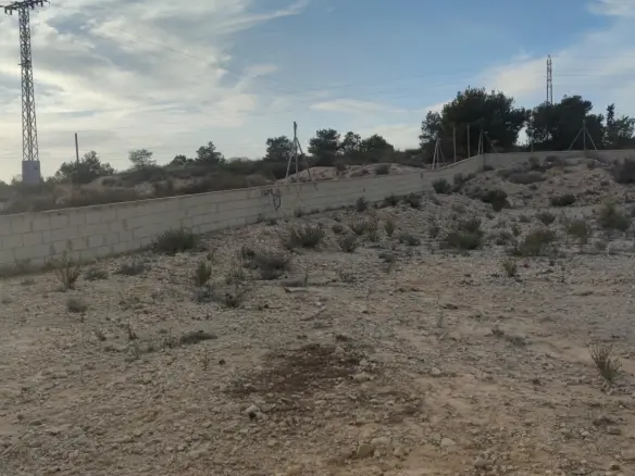 Land In Elche, Spain (19.728 M² Plot)