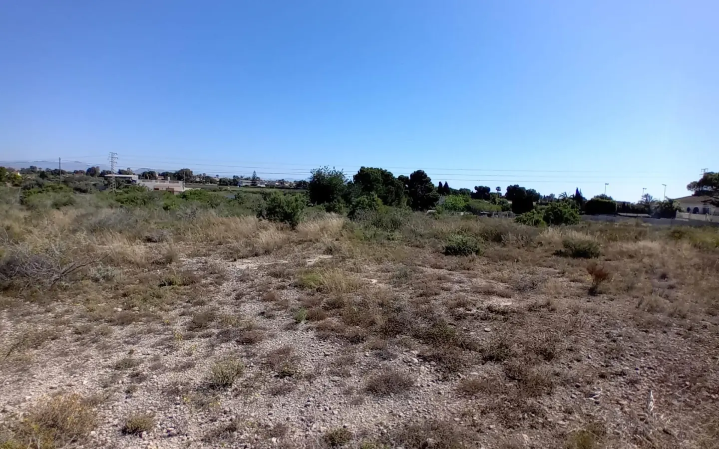 Land In Elche Pedanias, Spain (2.400 M² Plot)