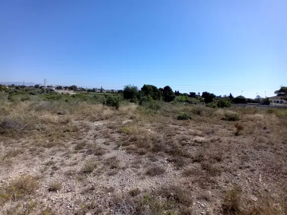 Land In Elche Pedanias, Spain (2.400 M² Plot)