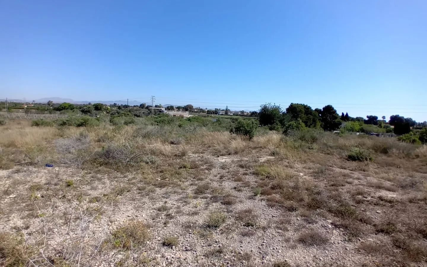 Land In Elche Pedanias, Spain (2.400 M² Plot)