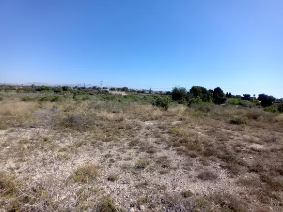 Land In Elche Pedanias, Spain (2.400 M² Plot)