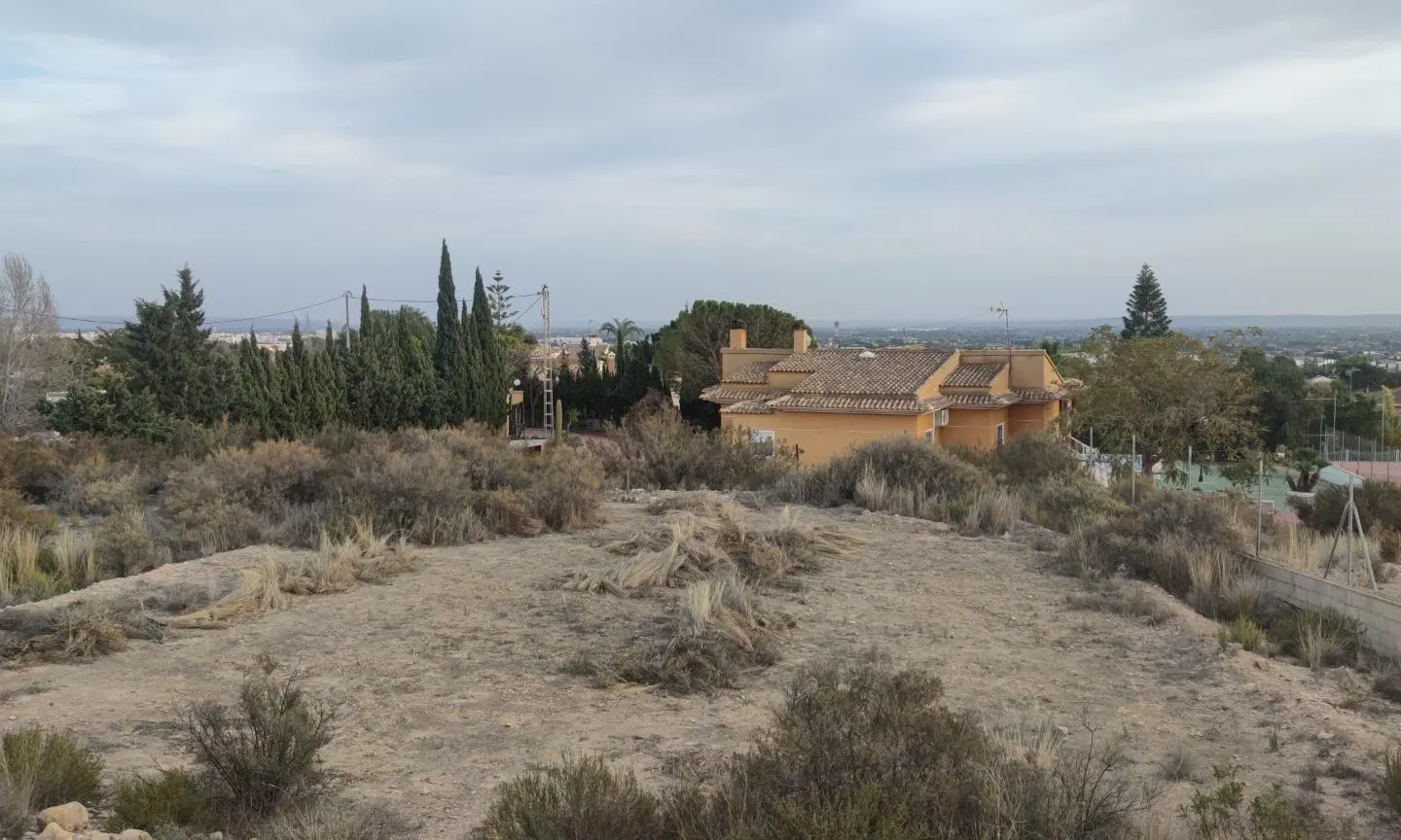 Land In Elche, Spain (19.728 M² Plot)